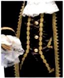 Thomas Jefferson, Beethoven, Mozart or Colonial Boy Costume