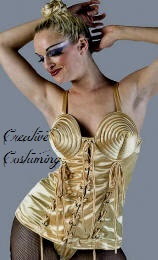 Madonna Costume Corset