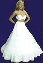 Crinoline Slip