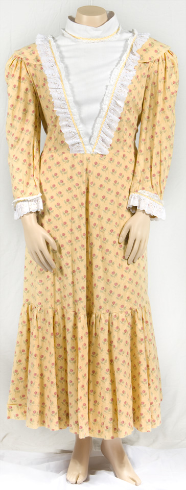 Early American Costume Plus Size Day Dress