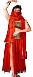 Harem Dancer Costume