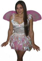 Adult Pixie Fairy Costume