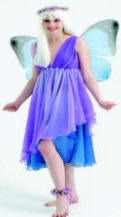 Dream Fairy Costume