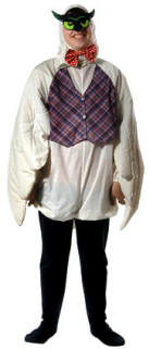 Owl Costume