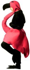 Flamingo Costume