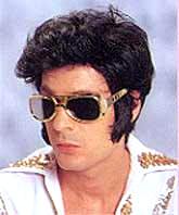 Elvis Wig Rock N' Roll 1950's