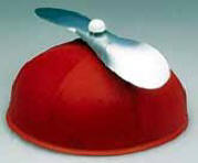 Beanie With Propeller Hat