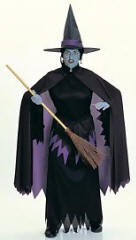 Wicked Witch Adult